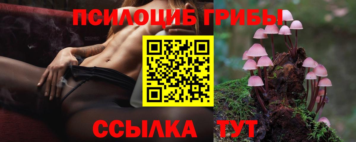 Аша  Псилоцибиновые грибы Psilocybine cubensis  Вход с VPN  Псилоцибиновые грибы MAGIC MUSHROOMS 